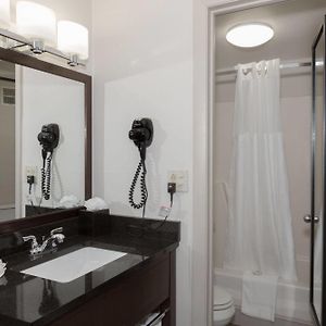Double Room Two Double Beds Pool View Non-Smoking
